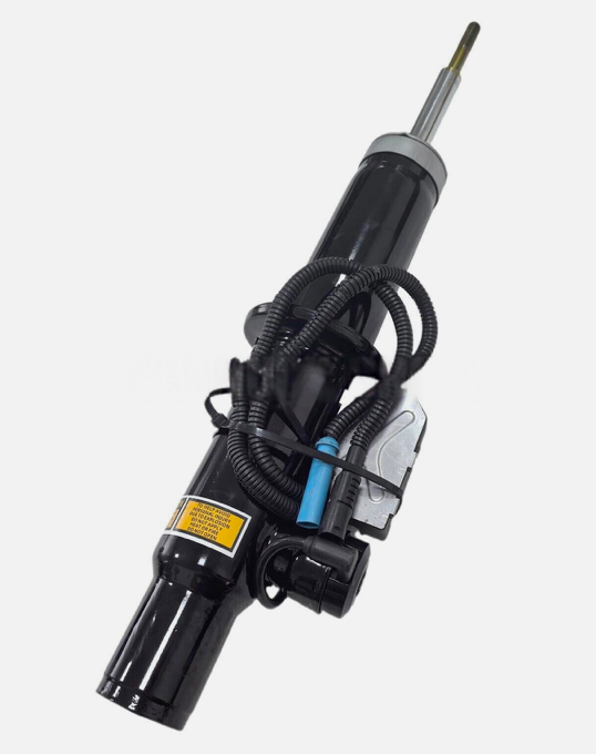 Front shock Absorber/ Strut Set, BMW X5 E70,  BMW X6 E71, 37116794536, 37116794538, 37116785402, 37116782948 - Left Side